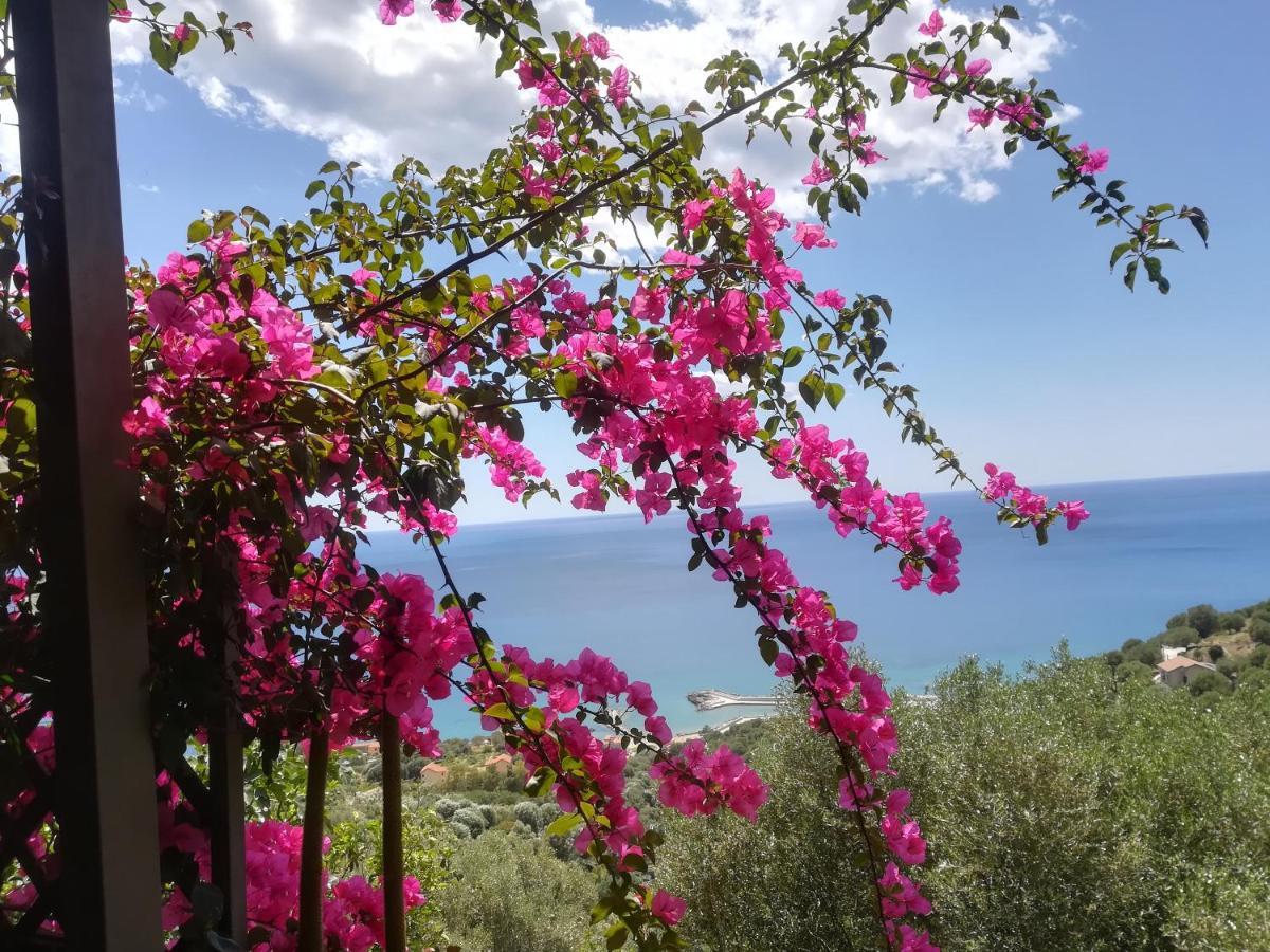 Marulivo Hotel Pisciotta Exterior photo